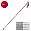 1red trekking pole