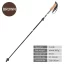 1brown trekking pole